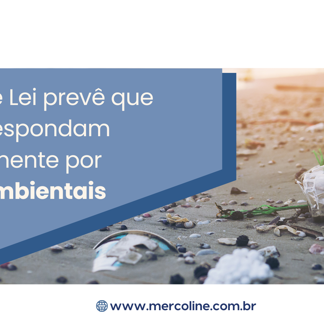 crimes ambientais crimes ambientais