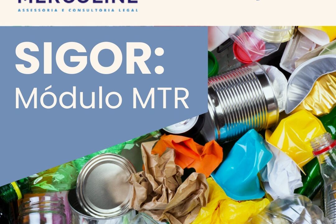 WhatsApp Image 2022-05-19 at 16.10.36