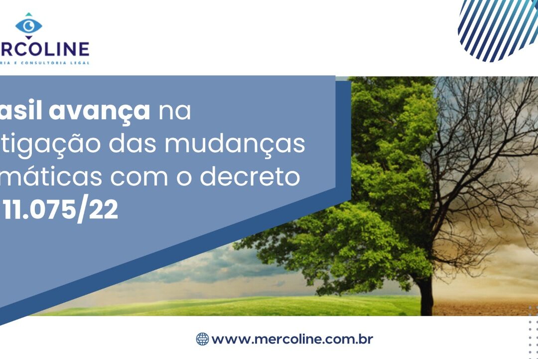 WhatsApp Image 2022-08-23 at 13.56.50