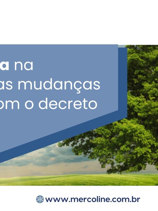 WhatsApp Image 2022-08-23 at 13.56.50