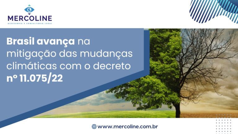 WhatsApp Image 2022-08-23 at 13.56.50