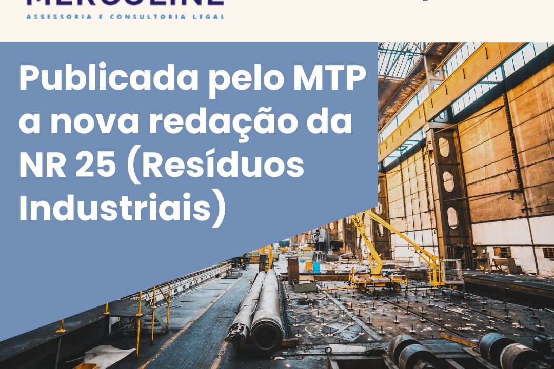 WhatsApp Image 2022-12-15 at 16.09.39