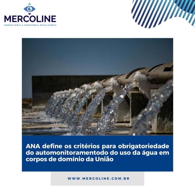 WhatsApp Image 2024-04-05 at 14.25.24