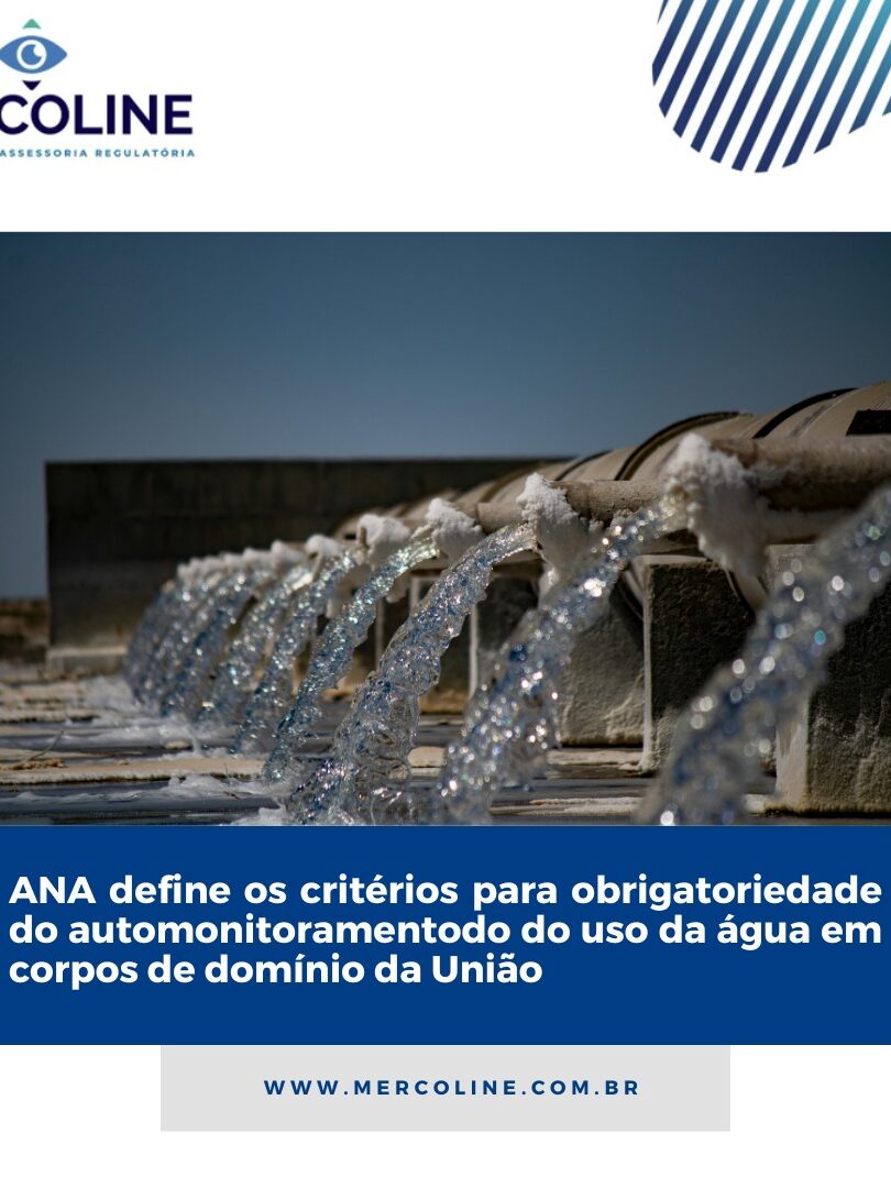 WhatsApp Image 2024-04-05 at 14.25.24