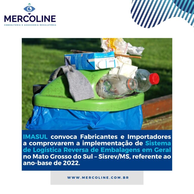 WhatsApp Image 2024-10-14 at 14.09.55