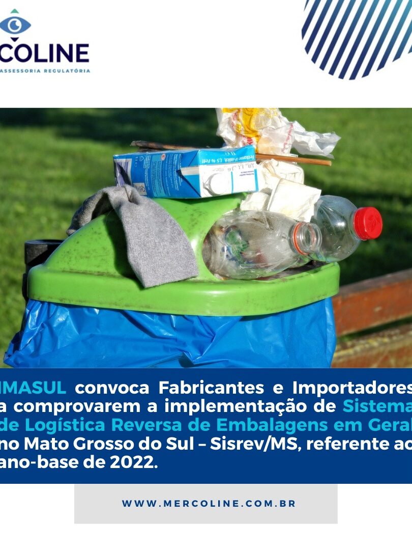 WhatsApp Image 2024-10-14 at 14.09.55